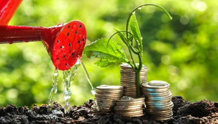 Maximizing Social Impact with Sustainable Investments