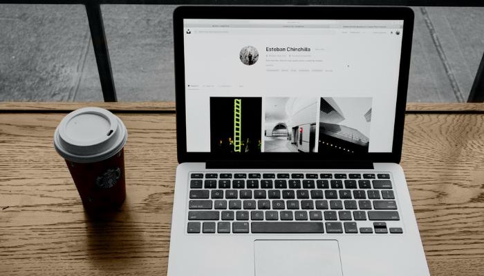 Assessing Gains and Gauging Risks in Franchise Ventures