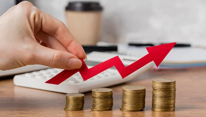 Como ganhar dinheiro extra em casa: ideias para renda extra sem sair do lar